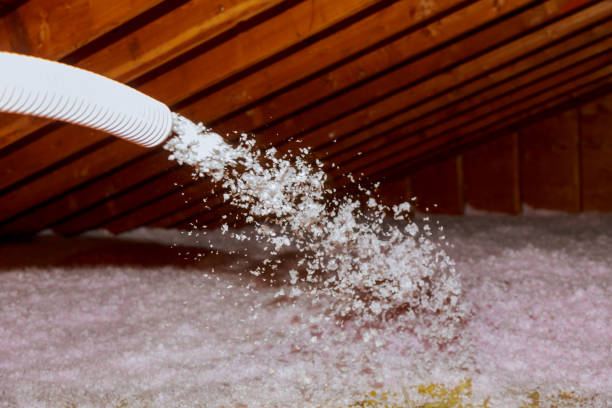 Best Insulation Maintenance and Repair in Bettendorf, IA