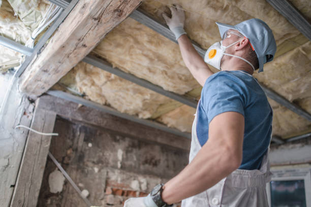 Best Residential Insulation in Bettendorf, IA