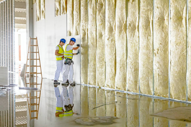 Types of Insulation We Offer in IA